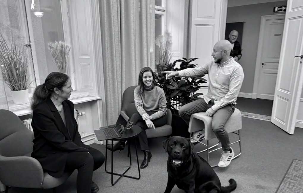 9+ områden som alla företagsledningar borde prioritera NU